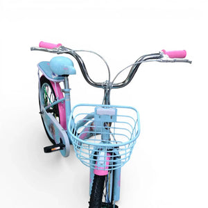 Front view of a Blue Roadix 20-inch girls bicycle with front metal basket and handlebar grips.