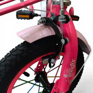 Metal Brake Caliper on Girls Bicycle