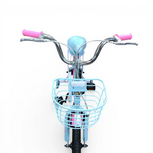 Front view of blue Roadix 16-inch girls bicycle showing basket, handlebars, and front wheel
