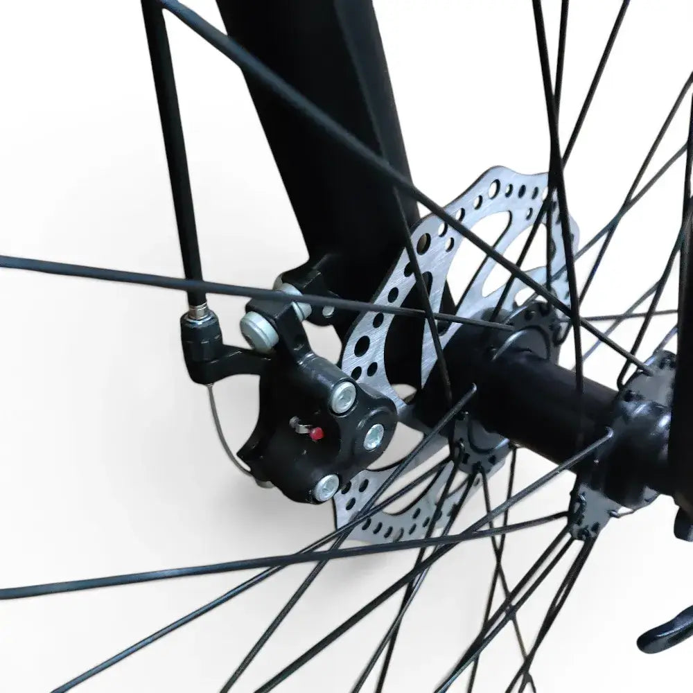 Close-up detailed view of Trinx K024 mountain bike mechanical disc brake caliper, silver rotor, wheel hub, and black steel spokes on a white background