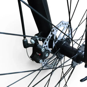 Close-up detailed view of Trinx K024 mountain bike mechanical disc brake caliper, silver rotor, wheel hub, and black steel spokes on a white background