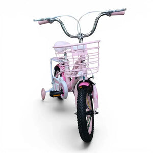 Metal Front Basket on Kids Bicycle
