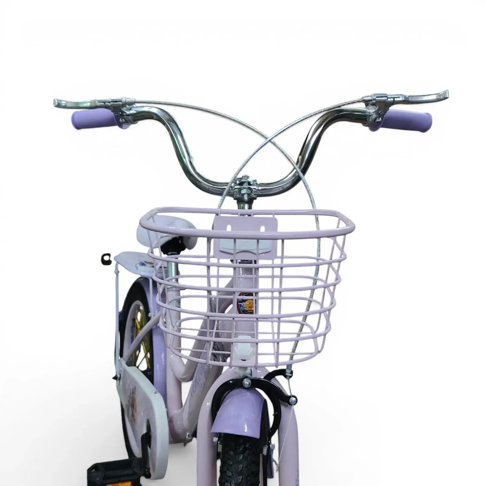 Front view of a Purple Roadix 20-inch girls bicycle with front metal basket and handlebar grips.