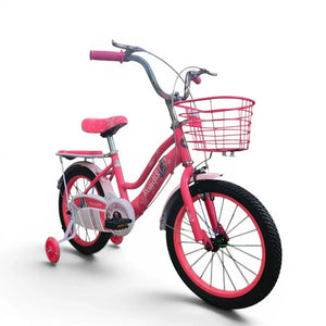 Roadix 16-Inch Girls Bike with Training Wheels – Fuchsia