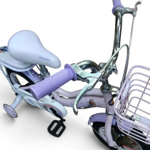 Full Chain Cover and Metal Brake Lever on Roadix Girls Bike – Purple